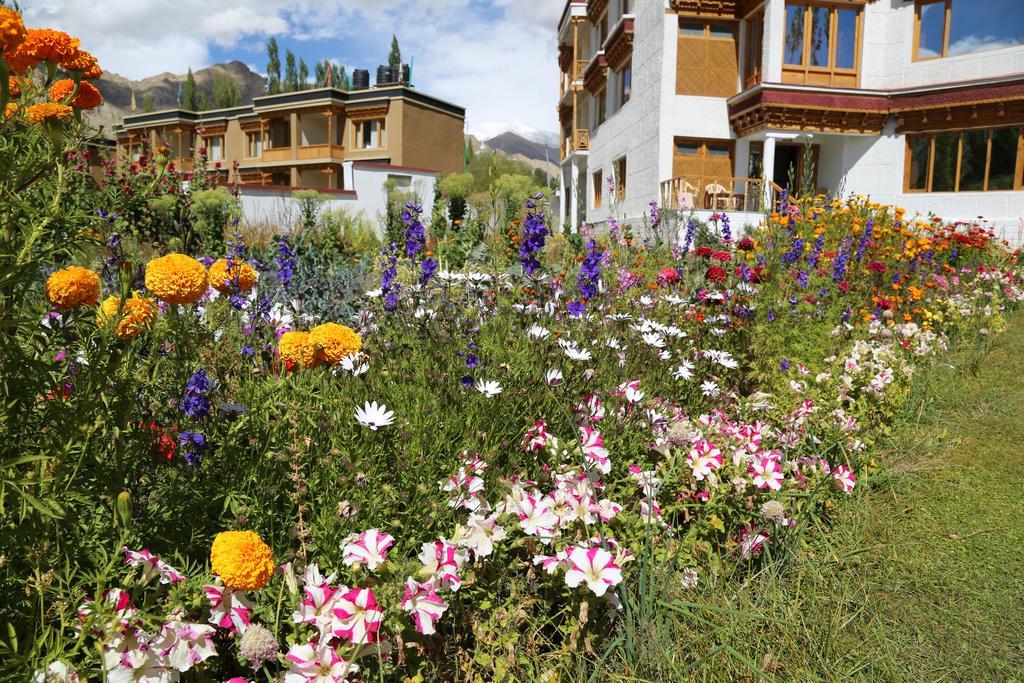Ladakh Himalayan Retreat Hotell Leh Eksteriør bilde